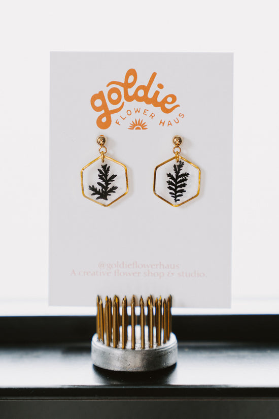 Black Fern Hexagons